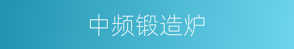 中频锻造炉的同义词