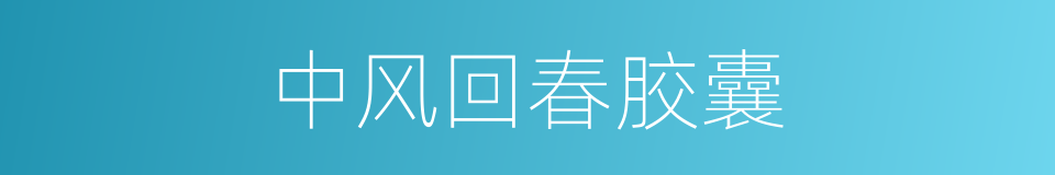 中风回春胶囊的同义词