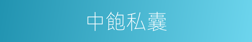 中飽私囊的意思