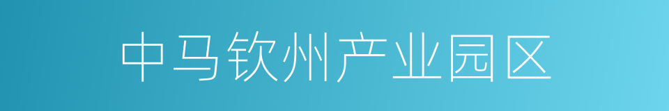 中马钦州产业园区的同义词