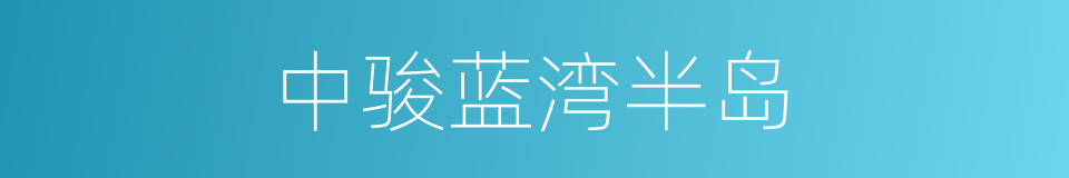 中骏蓝湾半岛的同义词