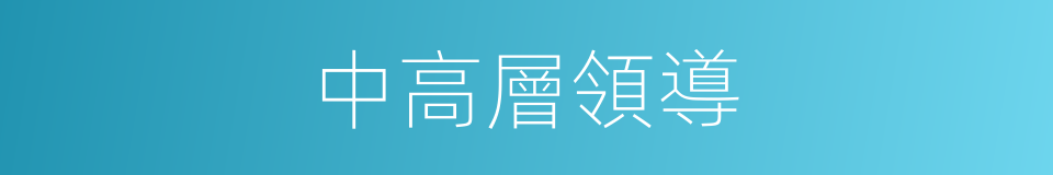 中高層領導的同義詞