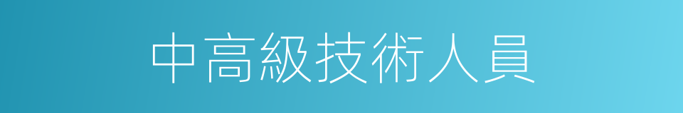 中高級技術人員的同義詞