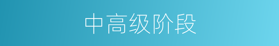 中高级阶段的同义词