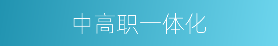 中高职一体化的同义词