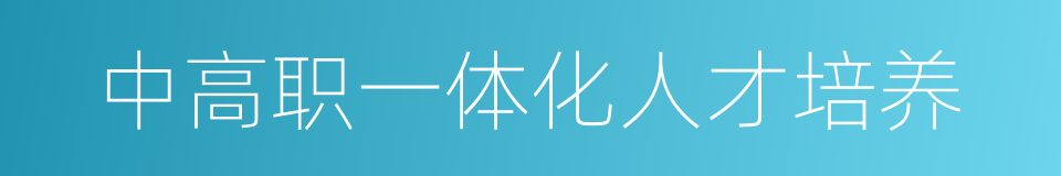 中高职一体化人才培养的同义词