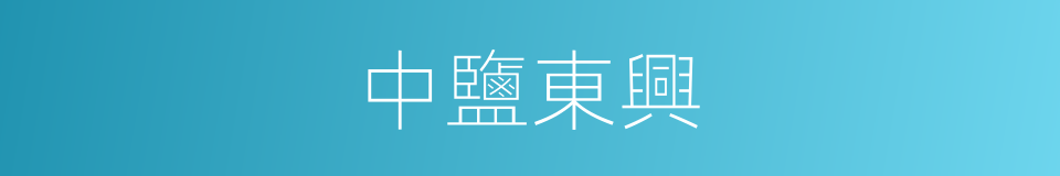 中鹽東興的同義詞