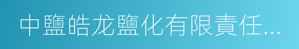 中鹽皓龙鹽化有限責任公司的同義詞