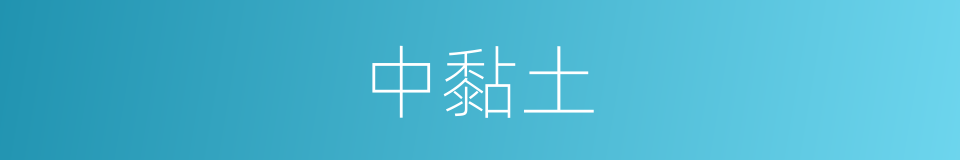 中黏土的同义词