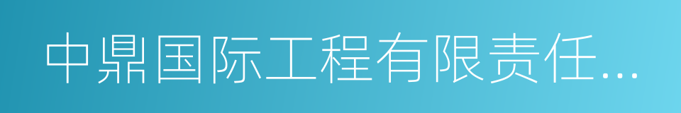 中鼎国际工程有限责任公司的同义词