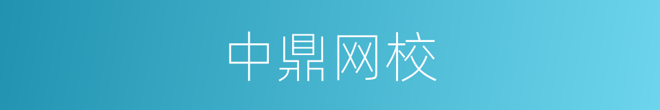 中鼎网校的同义词