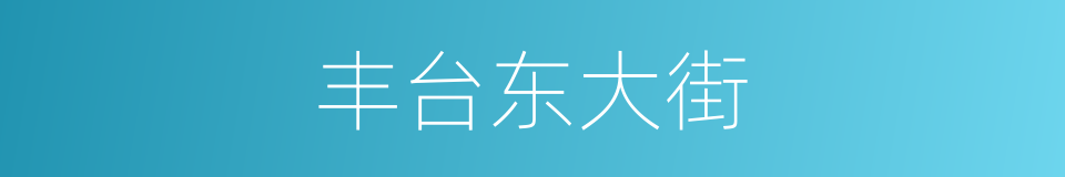 丰台东大街的同义词