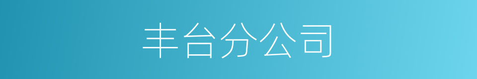 丰台分公司的同义词