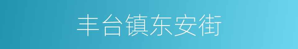 丰台镇东安街的同义词
