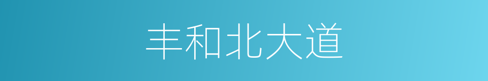 丰和北大道的同义词