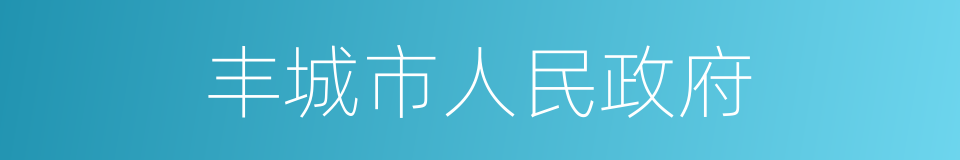 丰城市人民政府的同义词