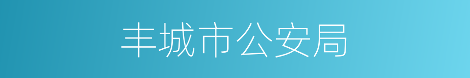 丰城市公安局的同义词