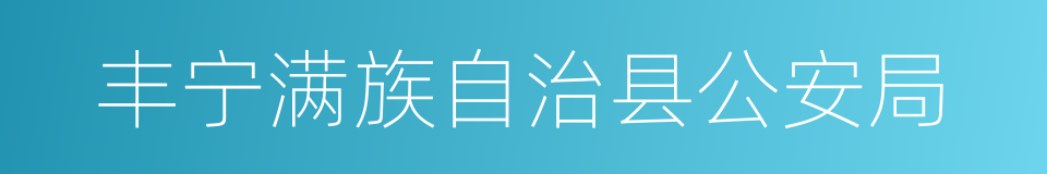 丰宁满族自治县公安局的同义词
