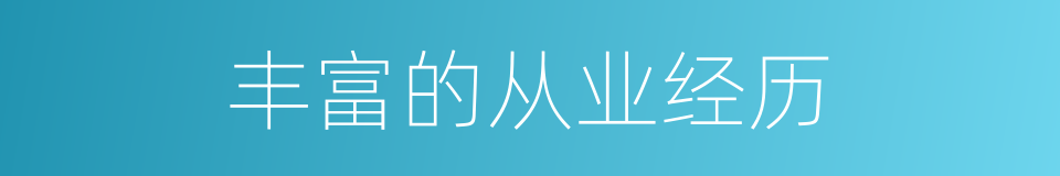 丰富的从业经历的同义词