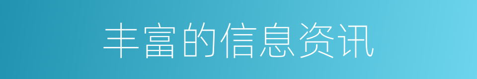 丰富的信息资讯的同义词