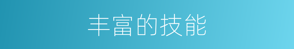 丰富的技能的同义词
