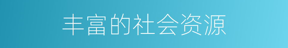 丰富的社会资源的同义词