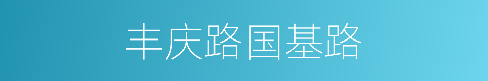 丰庆路国基路的同义词