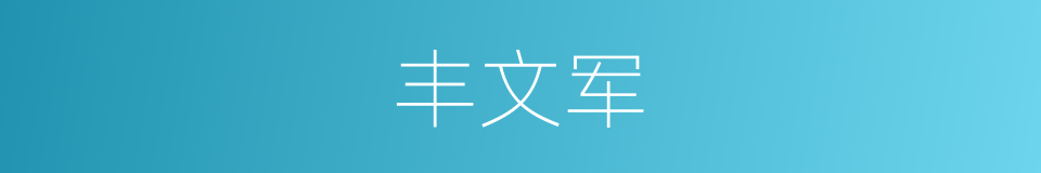 丰文军的同义词
