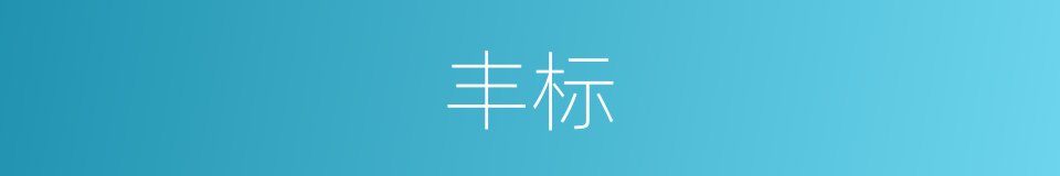 丰标的意思
