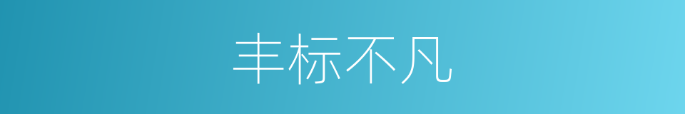 丰标不凡的意思