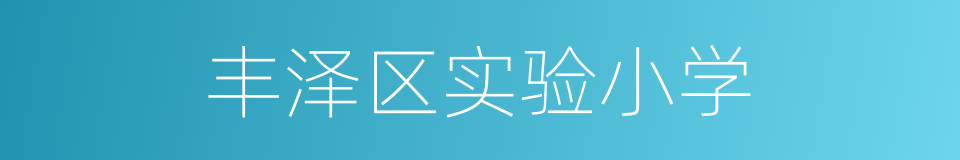 丰泽区实验小学的同义词