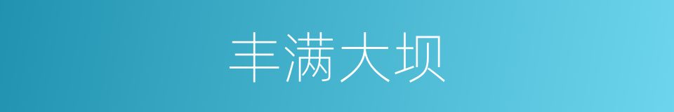 丰满大坝的同义词