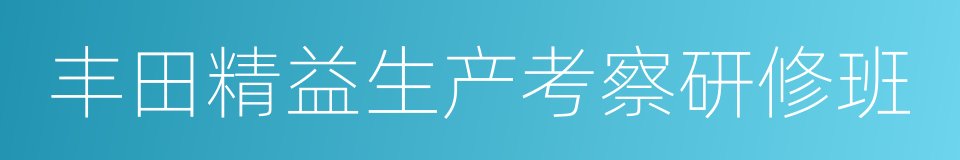 丰田精益生产考察研修班的同义词