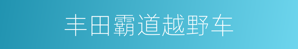 丰田霸道越野车的同义词