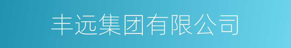 丰远集团有限公司的同义词
