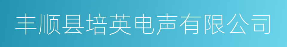 丰顺县培英电声有限公司的同义词