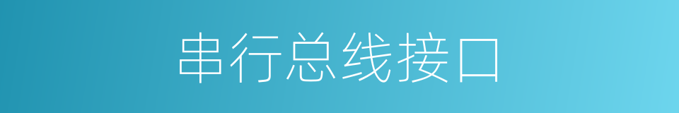 串行总线接口的同义词