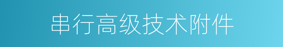 串行高级技术附件的同义词