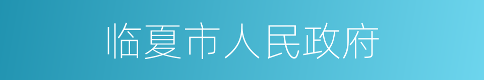 临夏市人民政府的同义词