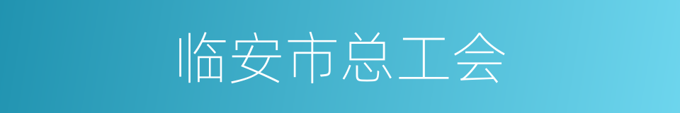 临安市总工会的同义词