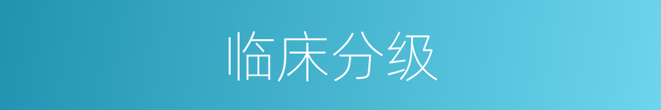 临床分级的同义词