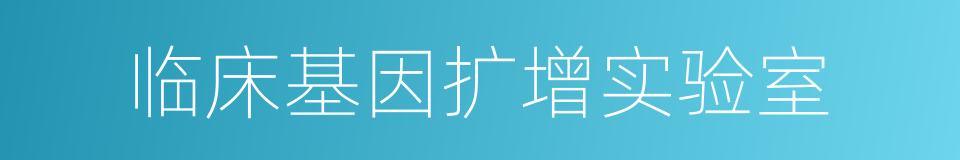 临床基因扩增实验室的同义词