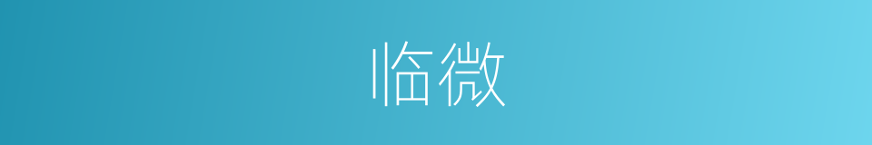 临微的同义词