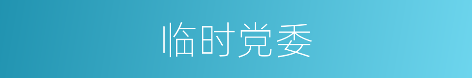 临时党委的同义词