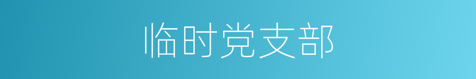 临时党支部的同义词