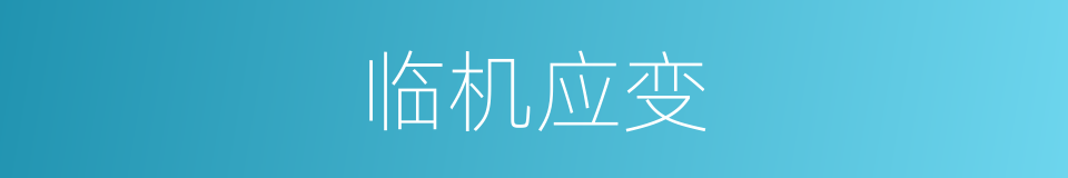 临机应变的意思
