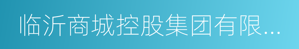 临沂商城控股集团有限公司的同义词