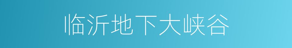 临沂地下大峡谷的同义词