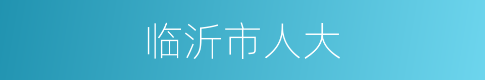 临沂市人大的同义词