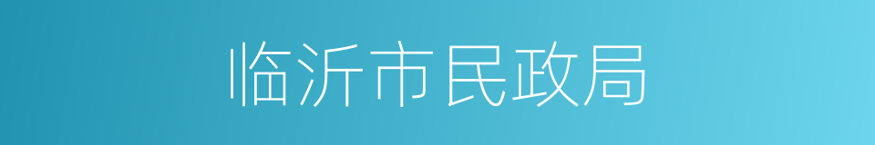 临沂市民政局的同义词